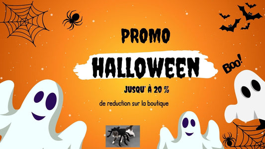 black friday 2025 - Universduchat