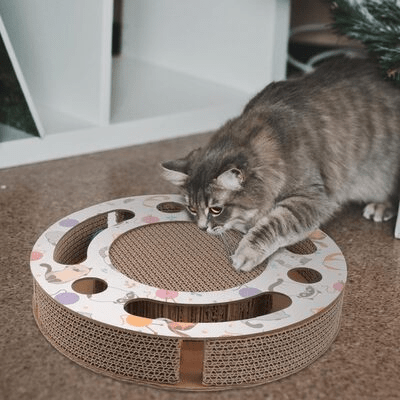 Grattoir Chat  PurrRoundScratcher™  Chats & Balles Universduchat