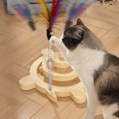 Jouet en Bois - SpinningCatToy™ - Grenouille - Universduchat