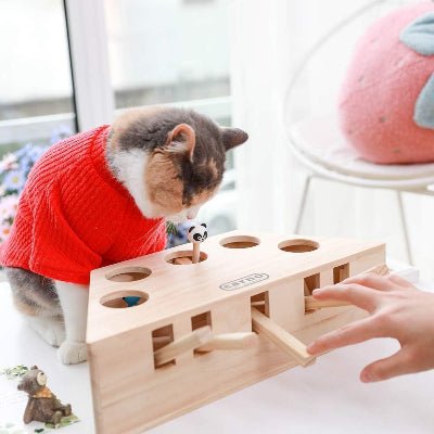 Jouet Interactif Chat - PawHunter™ - 5 Trous - Universduchat