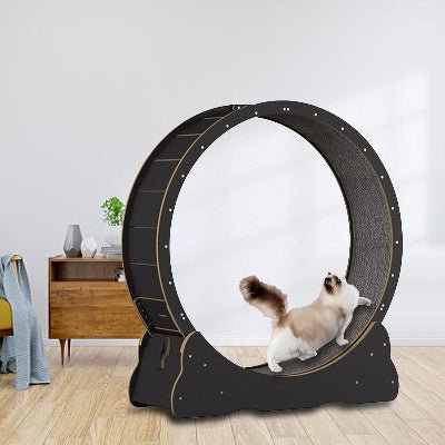 Roue Chat - KittyTread™ - Noir - Universduchat
