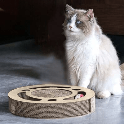 Grattoir Chat  PurrRoundScratcher™ Minimaliste  Universduchat