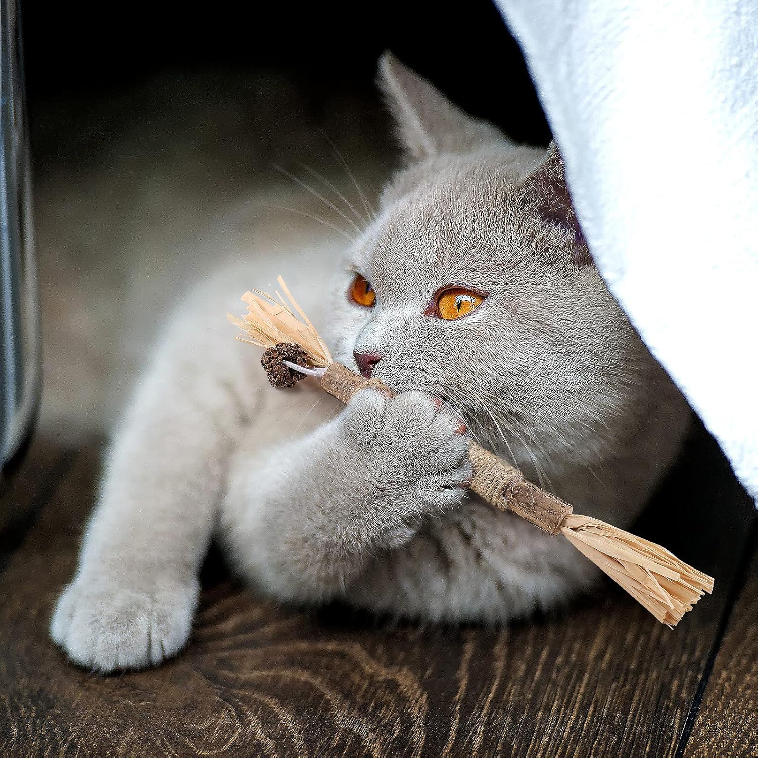 Bâton à mâcher pour chat - PurrStick™ - Universduchat