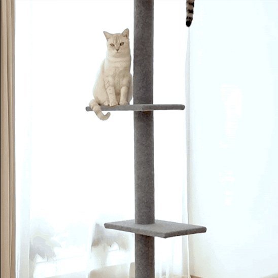 Arbre Ă  chat | Design Multi - niveaux - Universduchat