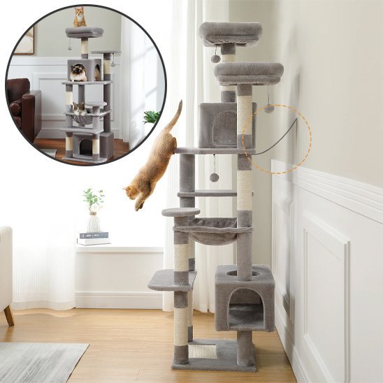 Arbre Ă  chat | Paradis Multi - niveaux - Universduchat