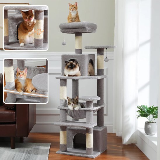 Arbre Ă  chat | Paradis Multi - niveaux - Universduchat