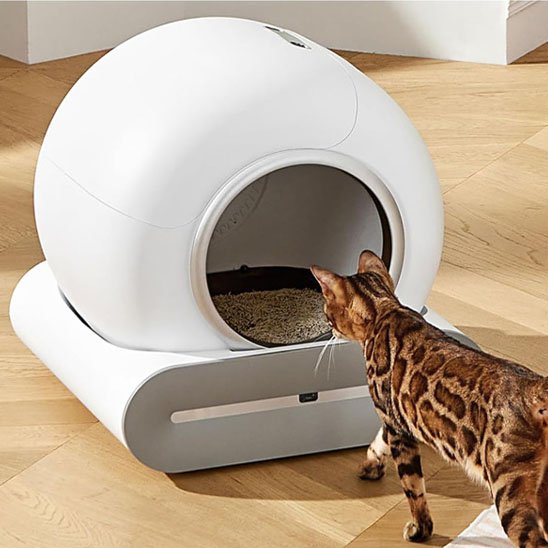 Bac à Litière Chat | Écodesign Premium grande capacité