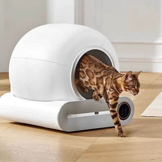 Bac à Litière Chat | Écodesign Premium peu d odeur
