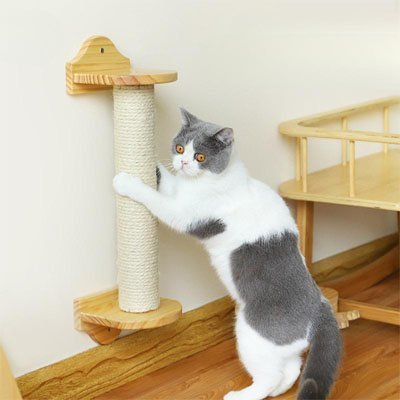Corde arbre a chat | NaturPlay - Universduchat