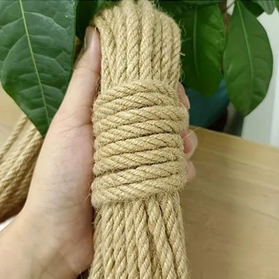 Corde arbre a chat | Robuste - Universduchat