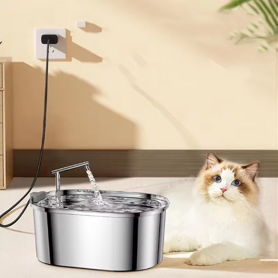 Fontaine a eau chat | Inox Zen sur secteur