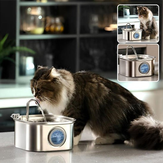 Fontaine Ă  eau chat | Silencieuse Premium - Universduchat
