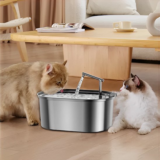 Fontaine a eau chat | Inox Zen - Universduchat