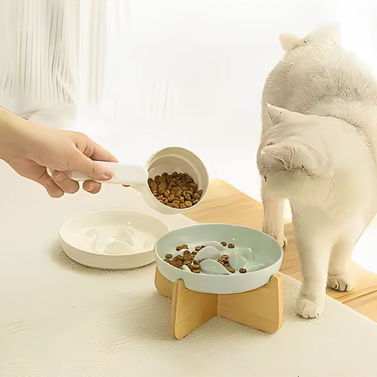 Gamelle Anti Glouton Chat | DigestPro - Universduchat