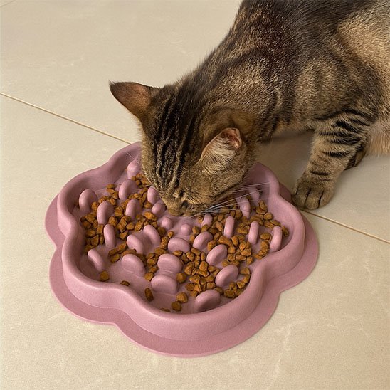 Gamelle Anti Glouton Chat | FeliFlex - Universduchat