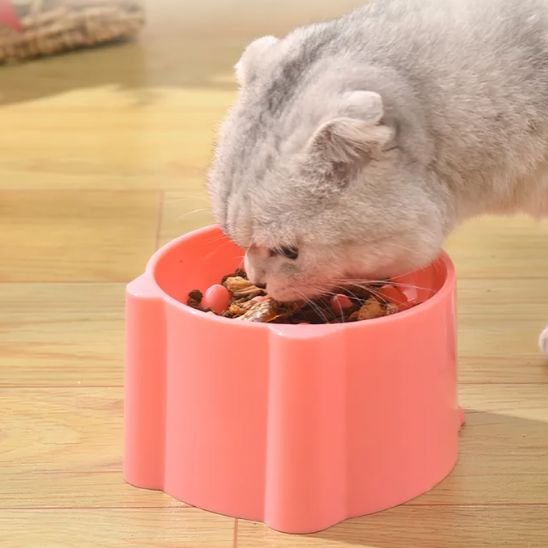 Gamelle anti glouton chat | FoodSlower - Universduchat