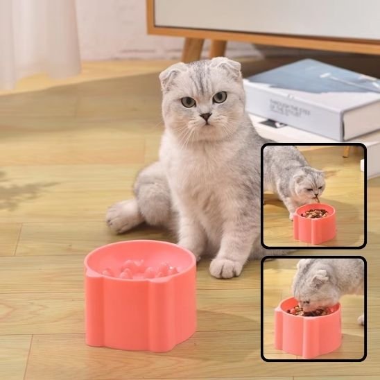 Gamelle anti glouton chat | FoodSlower - Universduchat