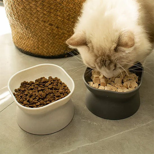 Gamelle chat  ÉléGourmet