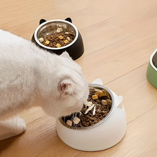 Gamelle chat | Ergonomique - Universduchat