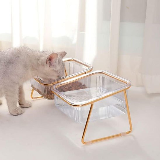 Gamelle chat | Design Durable - Universduchat
