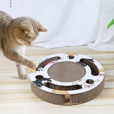 Grattoir Chat  PurrRoundScratcher™ Chats Colorés  Universduchat
