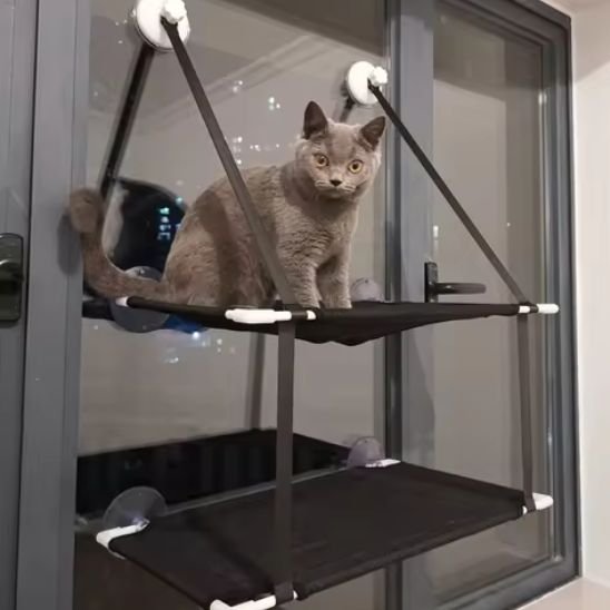 Hamac Chat FenĂȘtre | Solaris securisant