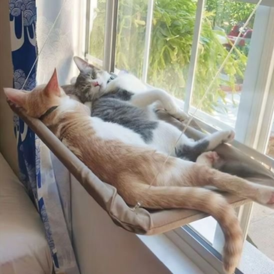 Hamac Chat FenĂȘtre | Ultra Confort resistant