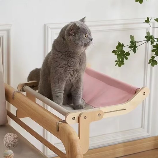 Hamac pour chat | Cocoon Félin fixation sur different support