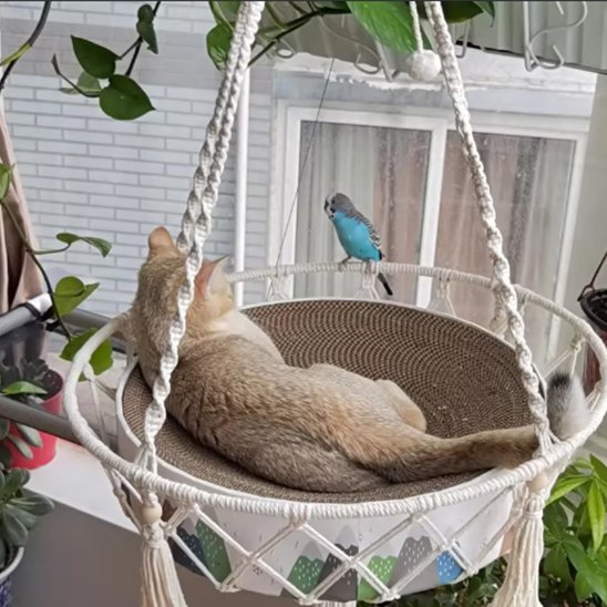 Hamac pour chat