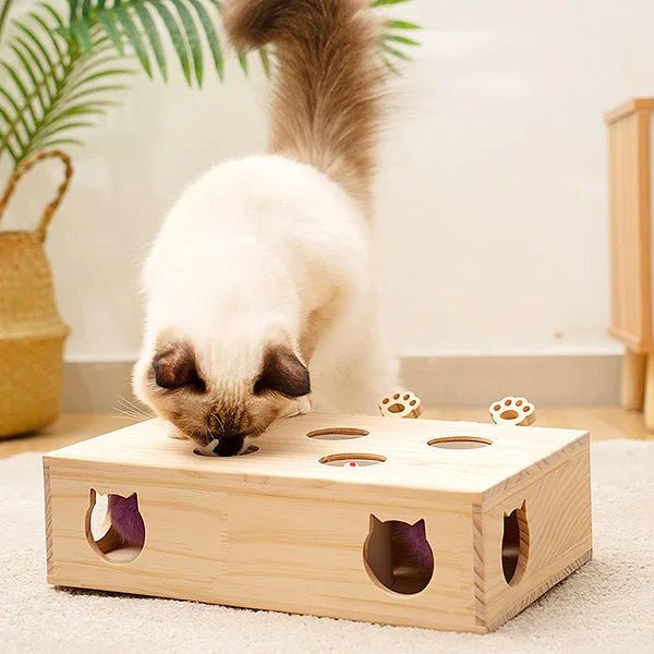 Jouet Interactif Chat - WoodMole™ - Universduchat