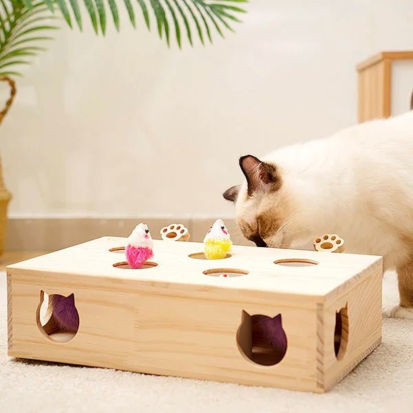 Jouet Interactif Chat - WoodMole™ - Universduchat