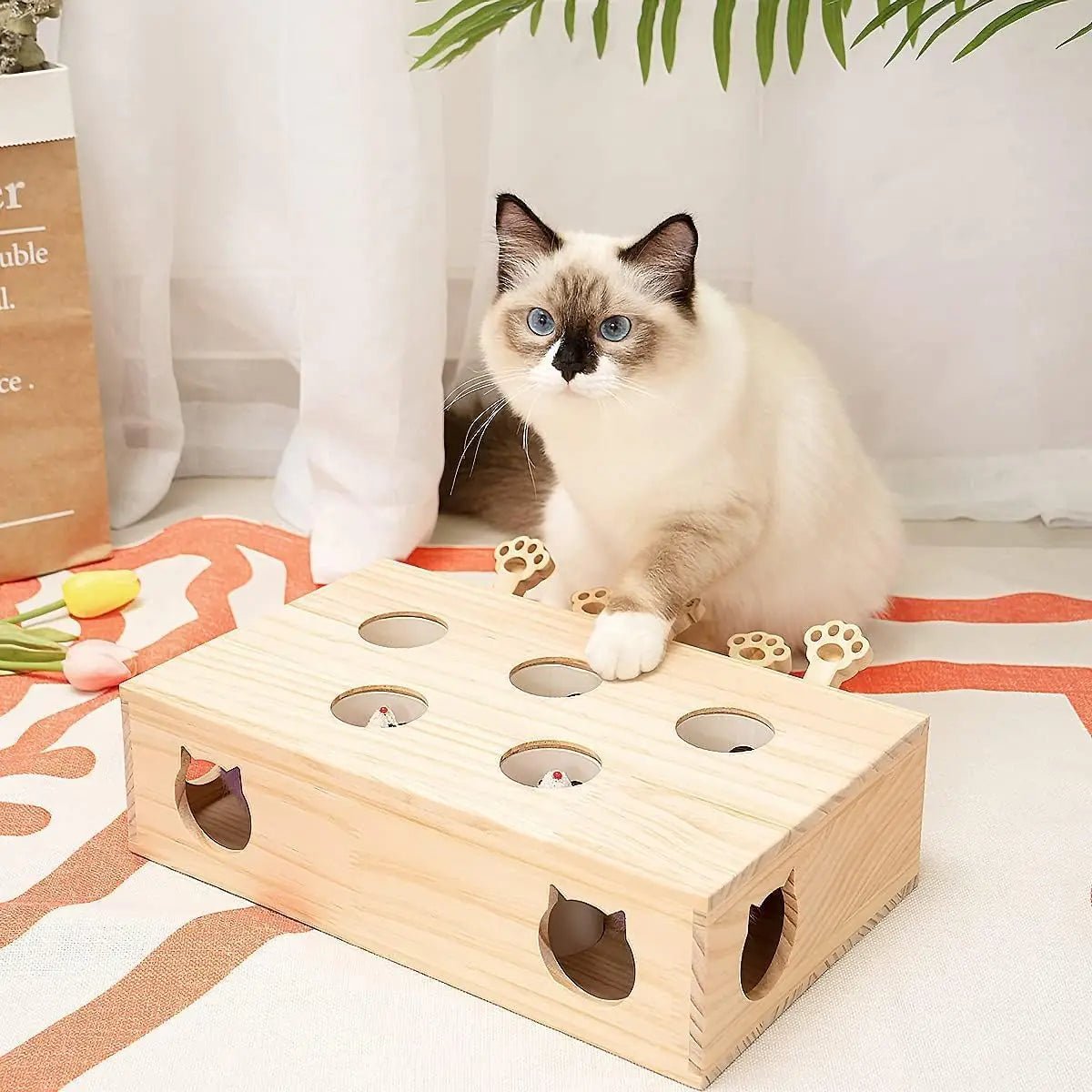 Jouet Interactif Chat - WoodMole™ - Universduchat