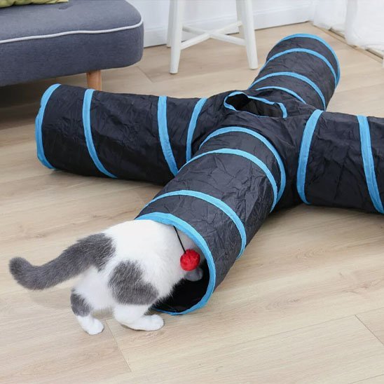 Tunnel pour chat | Structure en T - Universduchat jeux