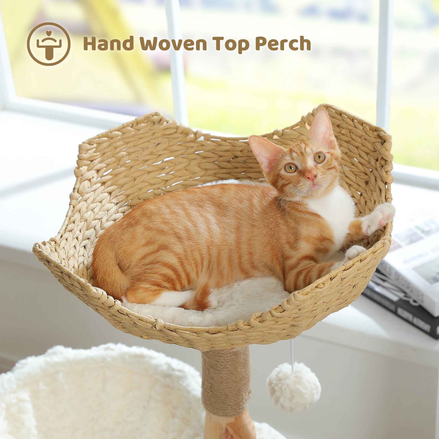 Arbre Ă  Chat Moderne | DesignFelin - Universduchat