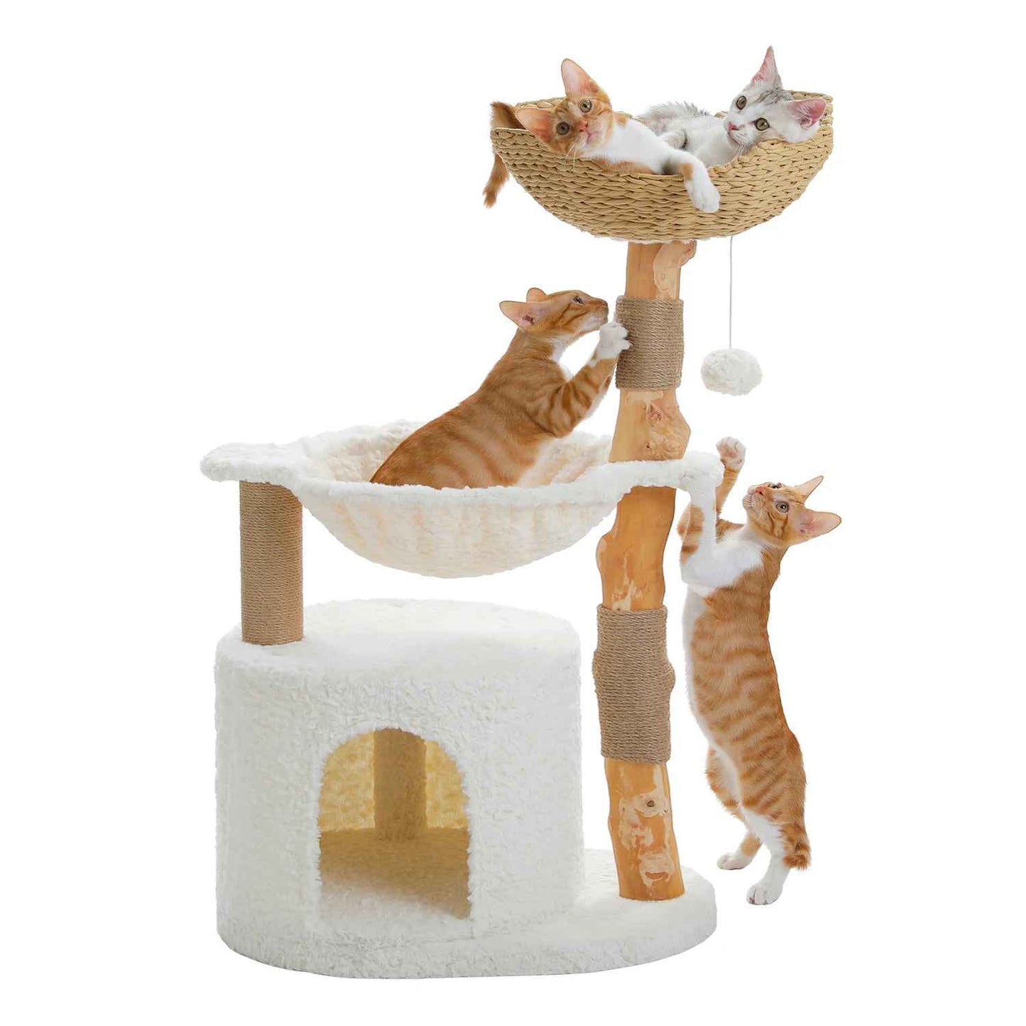 Arbre Ă  Chat Moderne | DesignFelin - Universduchat