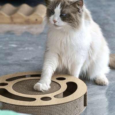 Grattoir Chat  PurrRoundScratcher™  Minimaliste  Universduchat