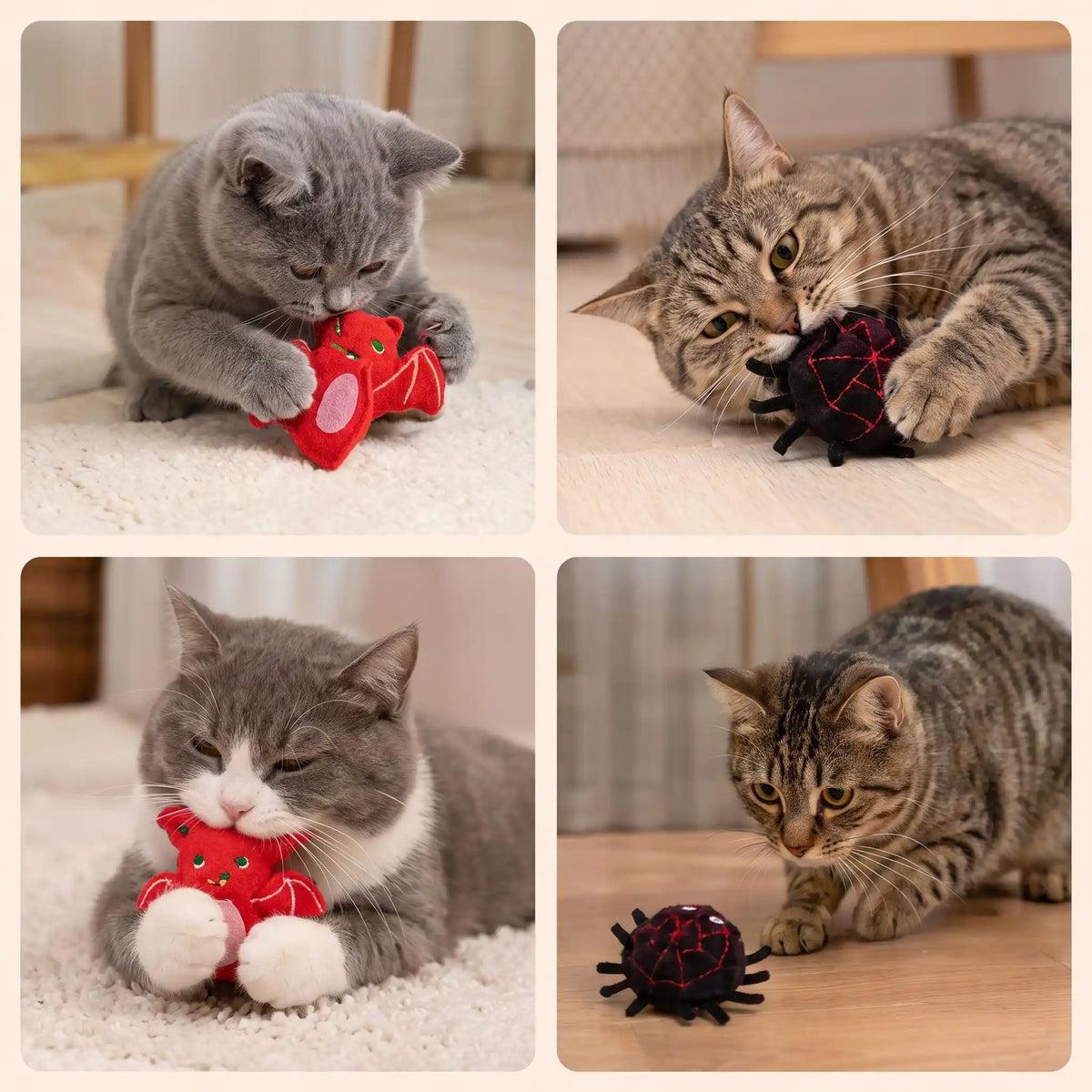 4 chats jouant avec les deux peluches