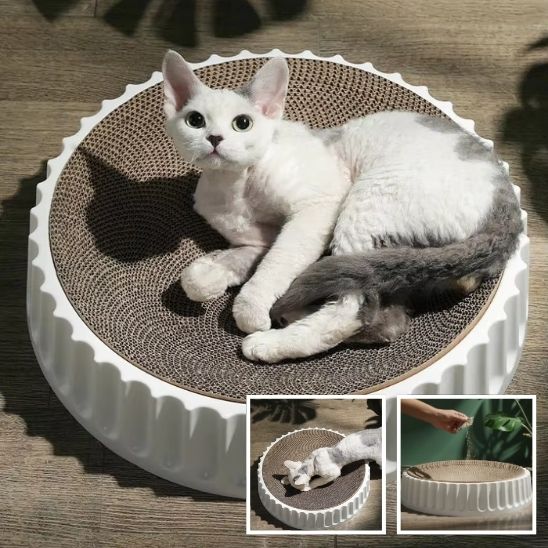 griffoir chat - rond - Universduchat