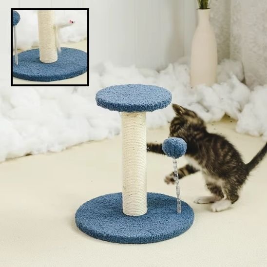 Griffoir pour Chat | ProtectoFelin - Universduchat
