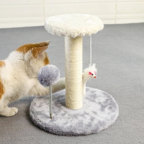 Griffoir pour Chat | ProtectoFelin - Universduchat