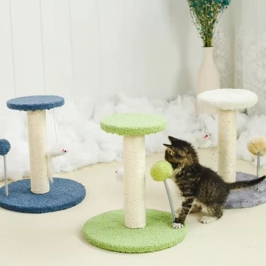 Griffoir pour Chat | ProtectoFelin - Universduchat