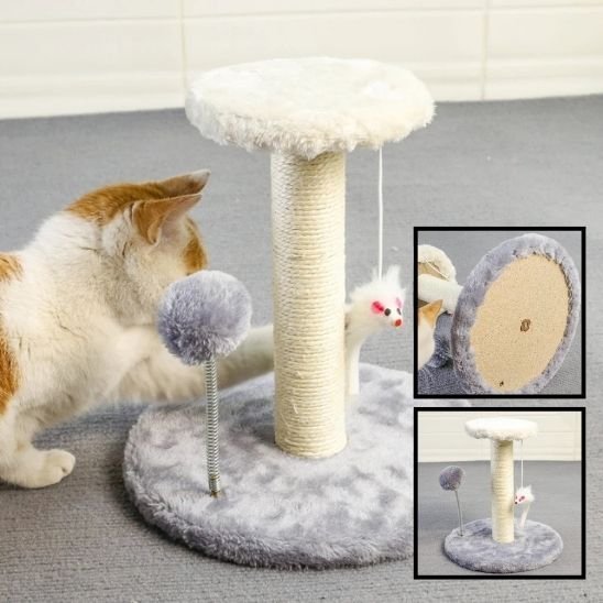 Griffoir pour Chat | ProtectoFelin - Universduchat