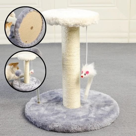 Griffoir pour Chat | ProtectoFelin - Universduchat