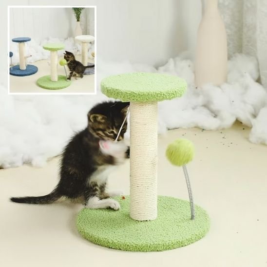 Griffoir pour Chat | ProtectoFelin - Universduchat