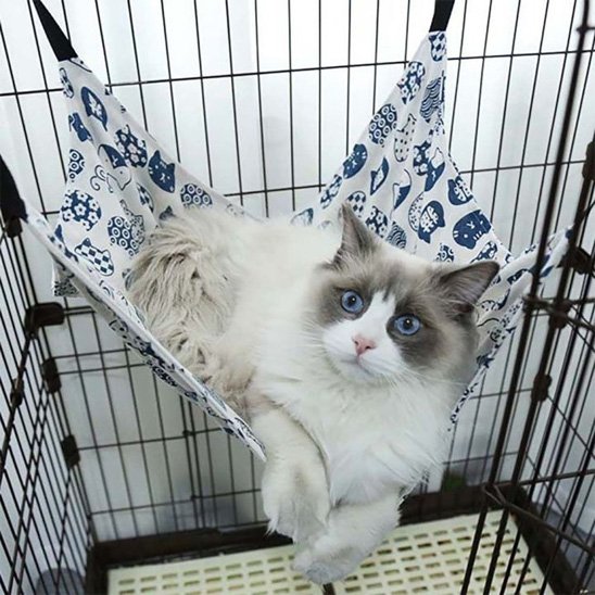 hamac pour chat | ConfortFélin