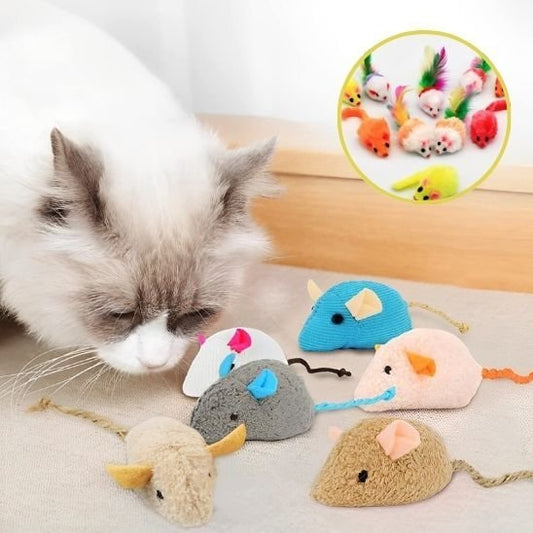 Jouet chat | Instinct Plus - Universduchat