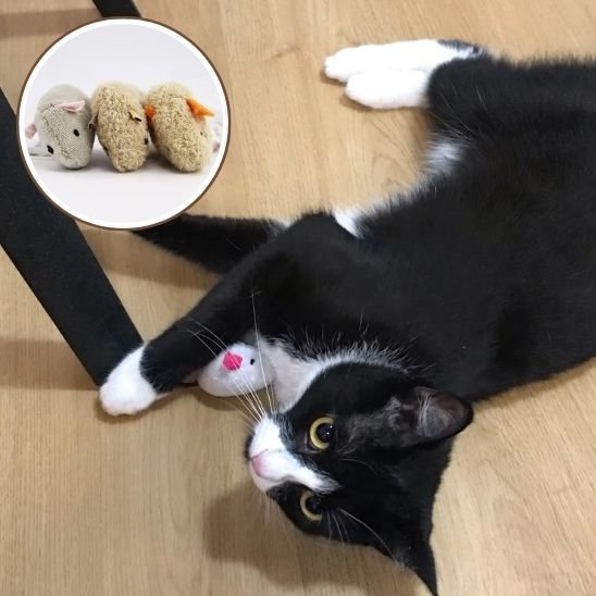 Jouet chat resistant