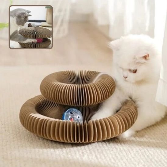 Jouet pour chat | FélinConfort - Universduchat