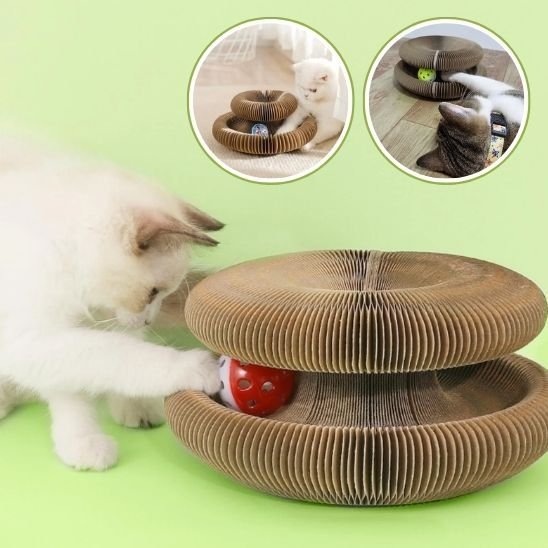 Jouet pour chat | FélinConfort - Universduchat