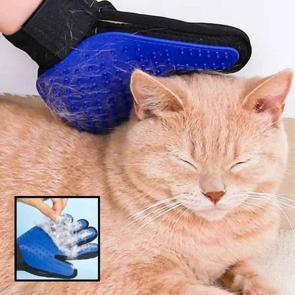 Gant-brosse pour chat bleu à picots silicone, gros plan, sangle noire au poignet.